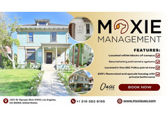 Moxie Management