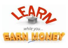 Travel and earn money daily!