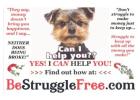 STAY ABOVE YOUR COMPETITORS! With NewsPaperAlive! I made Sales With Them!