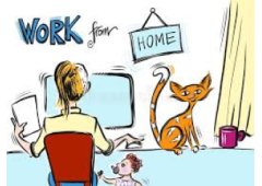 Southern Oregon's Trusted Landscaping Experts – MORE LIFE